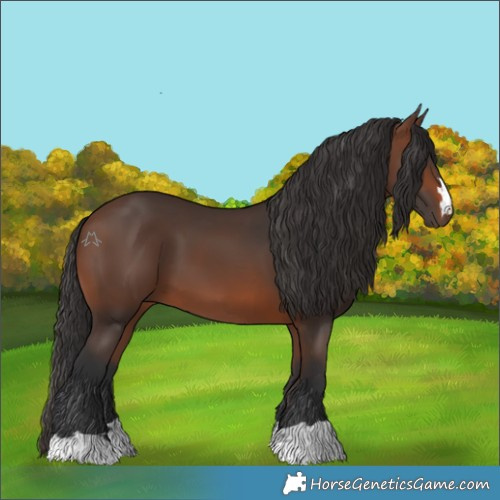 Horse Color:Brown 