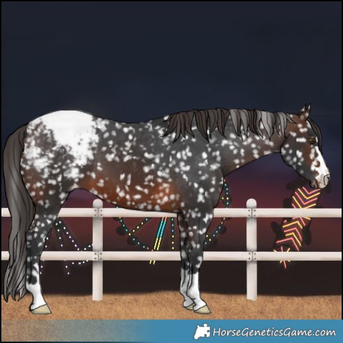 Horse Color:Brown Snowcap 