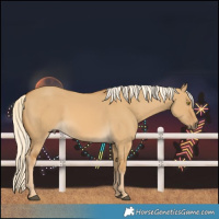 Horse Color:Palomino Dun 