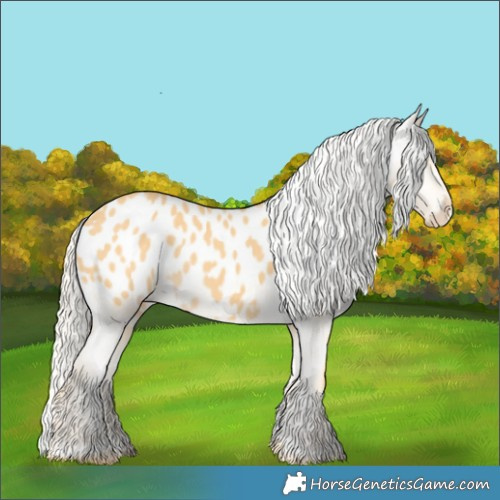 Horse Color:Palomino Blanket 
