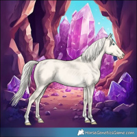 Horse Color:Cremello Dun Tobiano 