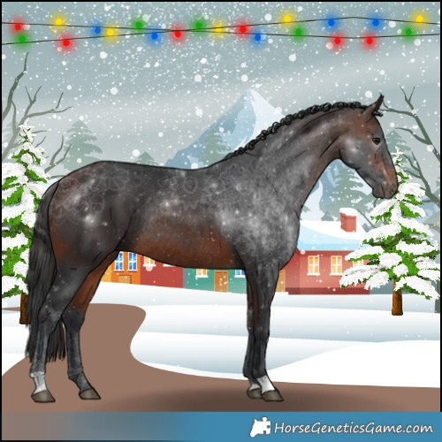 Horse Color:Brown Rabicano 