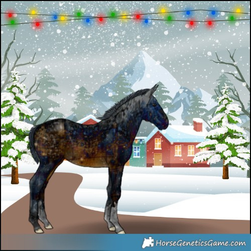 Horse Color:ERROR: UNKNOWN ANOMALY