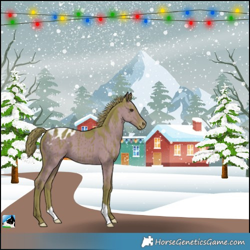 Horse Color:Watercolor Liver Red Dun Blanket Brindle 