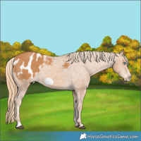 Horse Color:Chestnut Frame Blanket