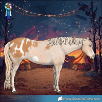 Horse Color:Chestnut Frame Blanket 