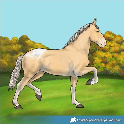 Horse Color:Palomino Varnish 