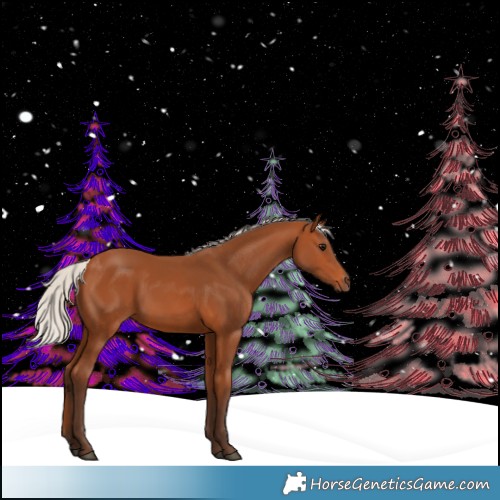 Horse Color:Silver Bay 