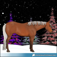 Horse Color:Silver Bay 