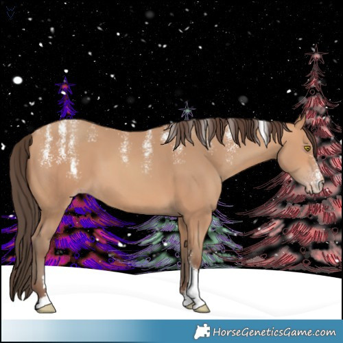 Horse Color:Powder White Amber Champagne