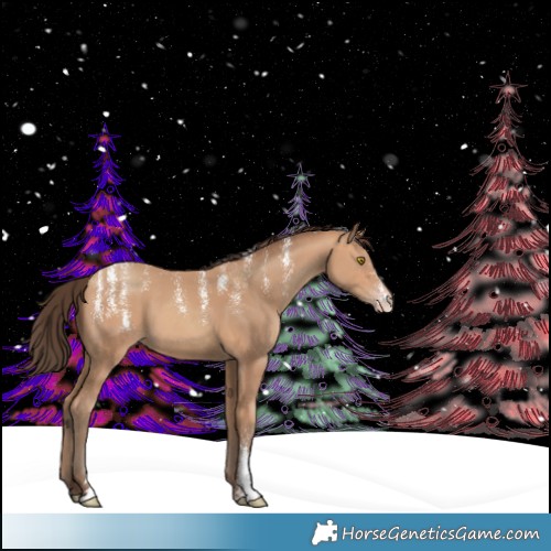 Horse Color:Powder White Amber Champagne
