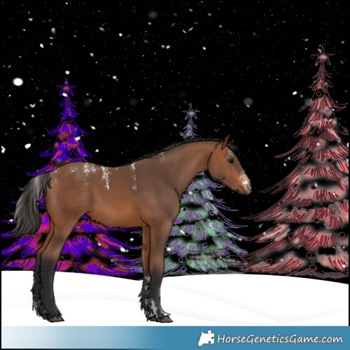 Horse Color:Powder White Bay 