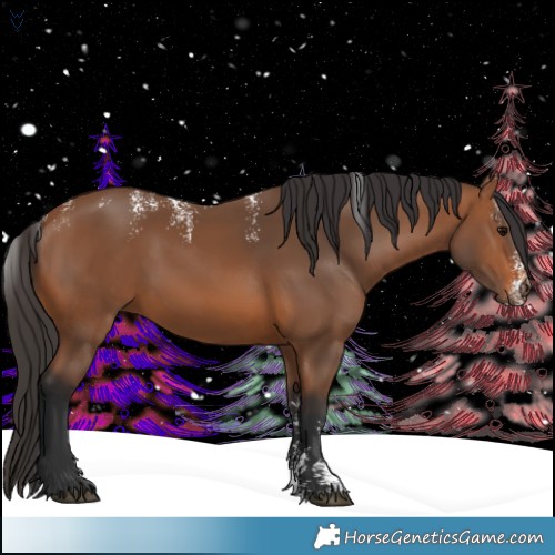 Horse Color:Powder White Bay