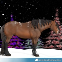 Horse Color:Powder White Bay 
