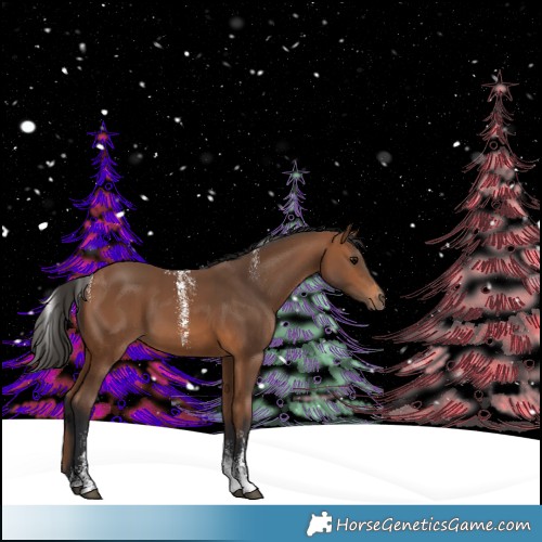 Horse Color:Powder White Bay 