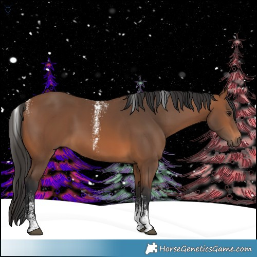 Horse Color:Powder White Bay 