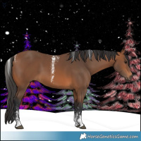 Horse Color:Powder White Bay 