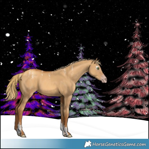 Horse Color:Powder White Gray Gold Champagne Dun 