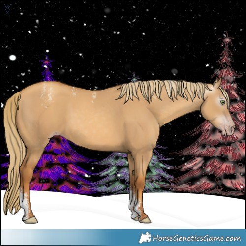 Horse Color:Powder White Gray Gold Champagne Dun 