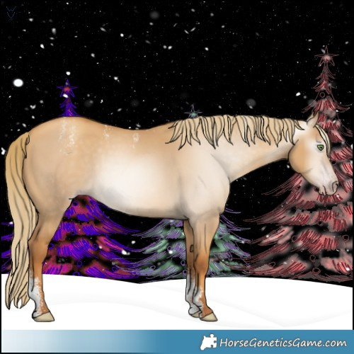 Horse Color:Powder White Gray Gold Champagne Dun 
