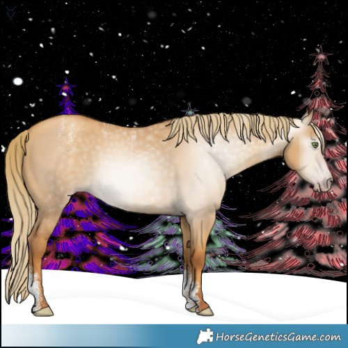 Horse Color:Powder White Gray Gold Champagne Dun 