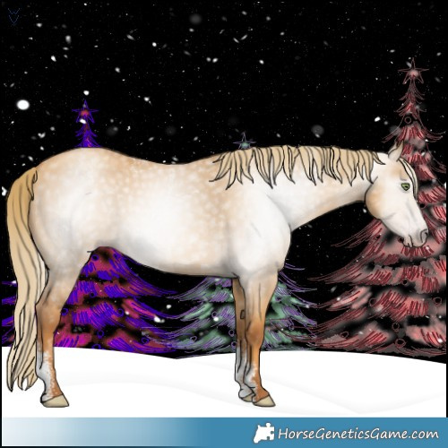 Horse Color:Powder White Gray Gold Champagne Dun 