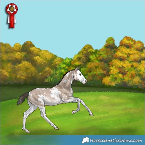 Horse Color:White Spotted Liver Red Dun Splash Rabicano