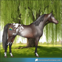 Horse Color:Gray Bay Skewed LP Spotted