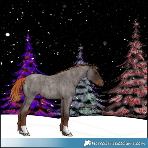 Horse Color:Liver Red Roan 