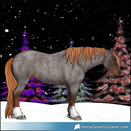 Horse Color:Liver Red Roan