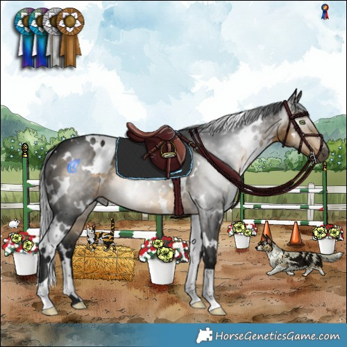 Horse Color:Gray White Spotted Buckskin
