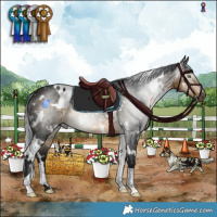 Horse Color:Gray White Spotted Buckskin 