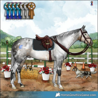Horse Color:Gray White Spotted Buckskin 