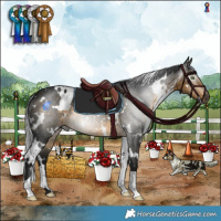 Horse Color:Gray White Spotted Buckskin