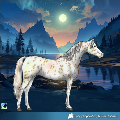 Horse Color:Palomino Near Leopard