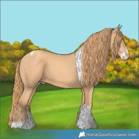 Horse Color:Gold Champagne Splash Tobiano 