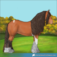 Horse Color:Bay Tobiano Varnish