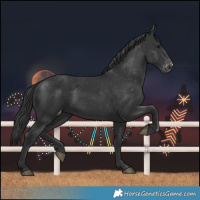 Horse Color:Black Varnish Rabicano 