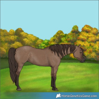 Horse Color:Liver Red Dun 