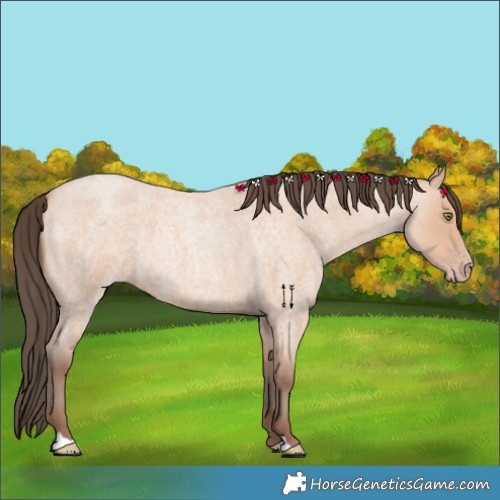 Horse Color:Amber Champagne Roan