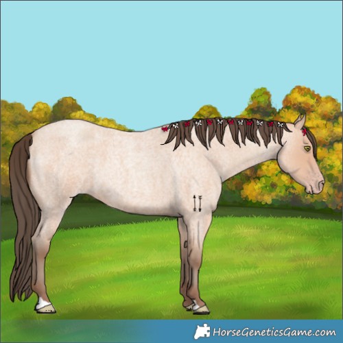 Horse Color:Amber Champagne Roan 