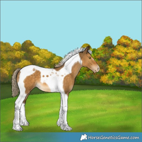 Horse Color:Chocolate Palomino Dun Tobiano Varnish 