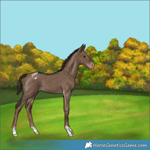 Horse Color:Liver Red Dun Varnish Brindle