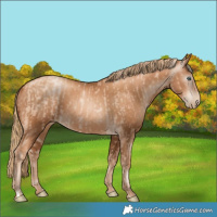 Horse Color:Gold Champagne Pearl Rabicano  and Gray Gold Champagne Pearl Rabicano 