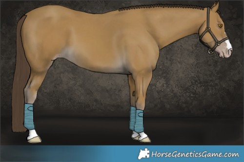 Horse Color:Classic Cream Champagne 