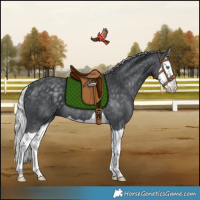 Horse Color:Silver Black Chinchilla Splash Rabicano 