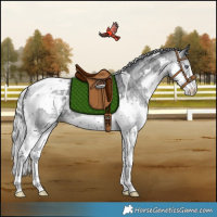 Horse Color:Silver Black Chinchilla Splash Tobiano Rabicano
