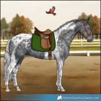 Horse Color:Silver Black Chinchilla Tobiano Rabicano