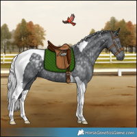Horse Color:Silver Black Chinchilla Tobiano Rabicano