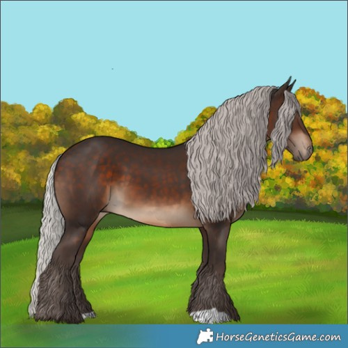 Horse Color:Silver Brown 